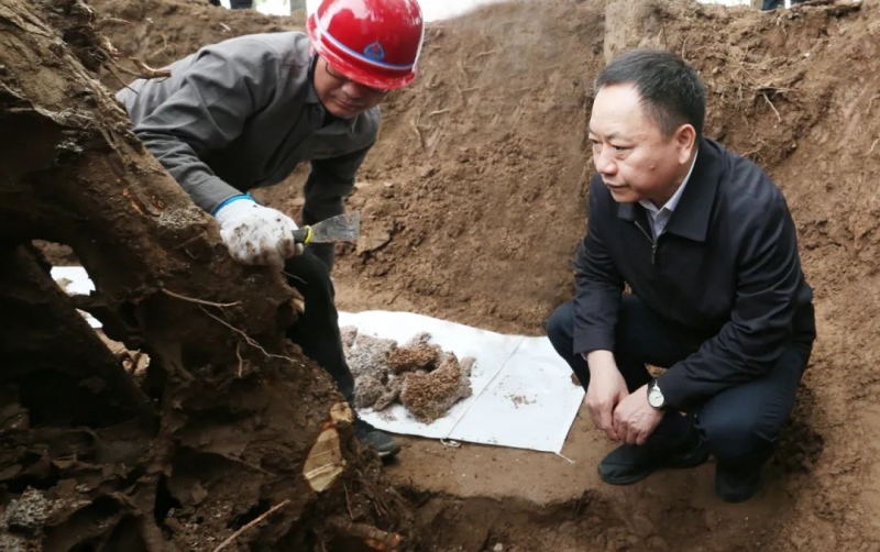 守住水利工程安全底线严防千里之堤溃于蚁穴